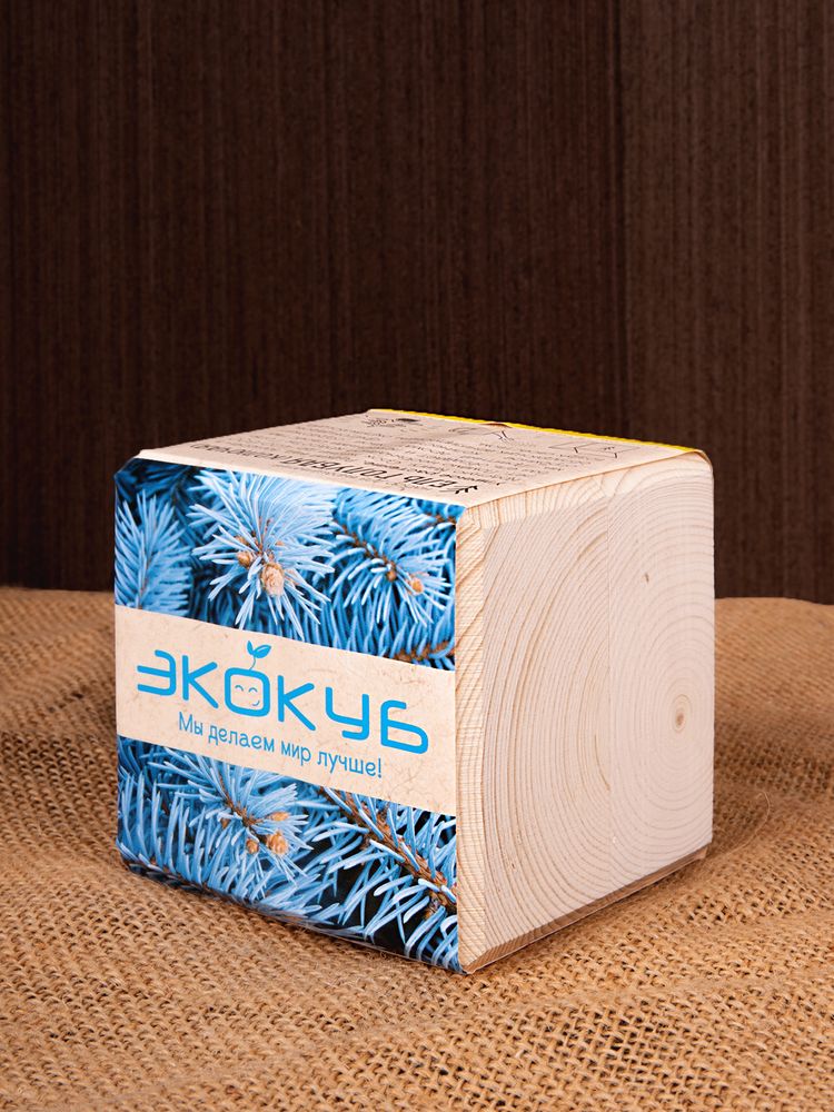 Набор для выращивания «Экокуб», ель - фото 8