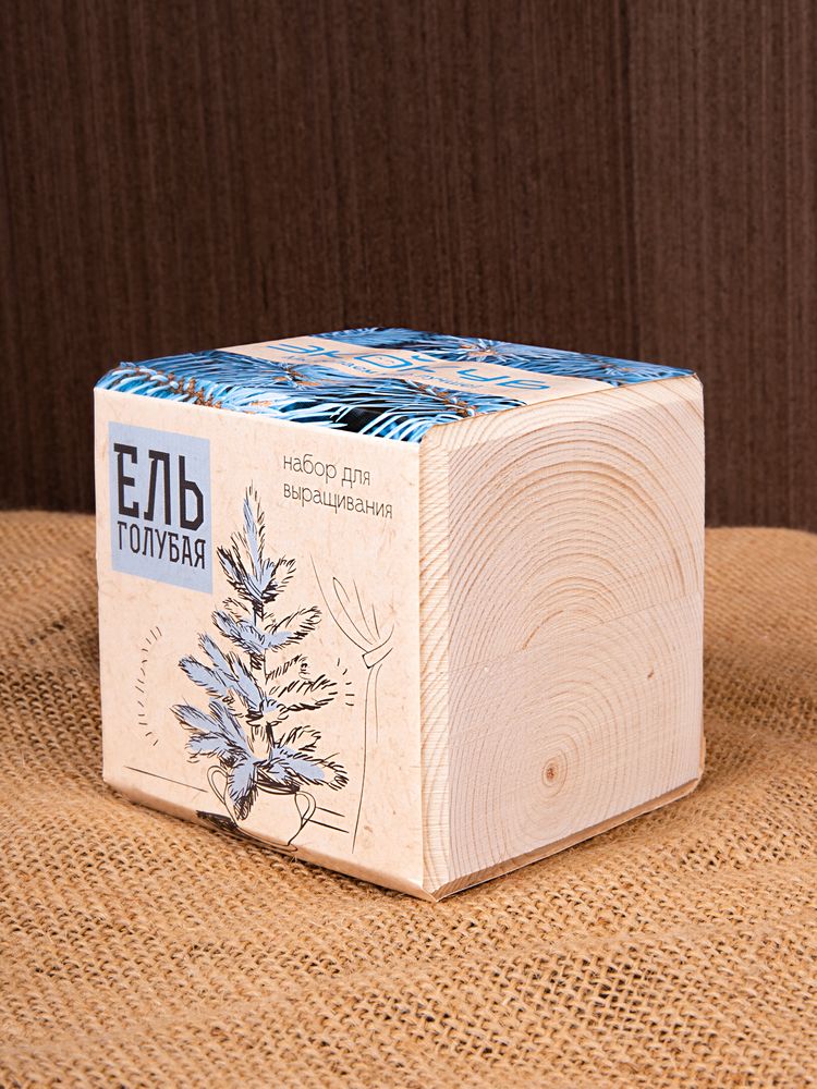 Набор для выращивания «Экокуб», ель - фото 9
