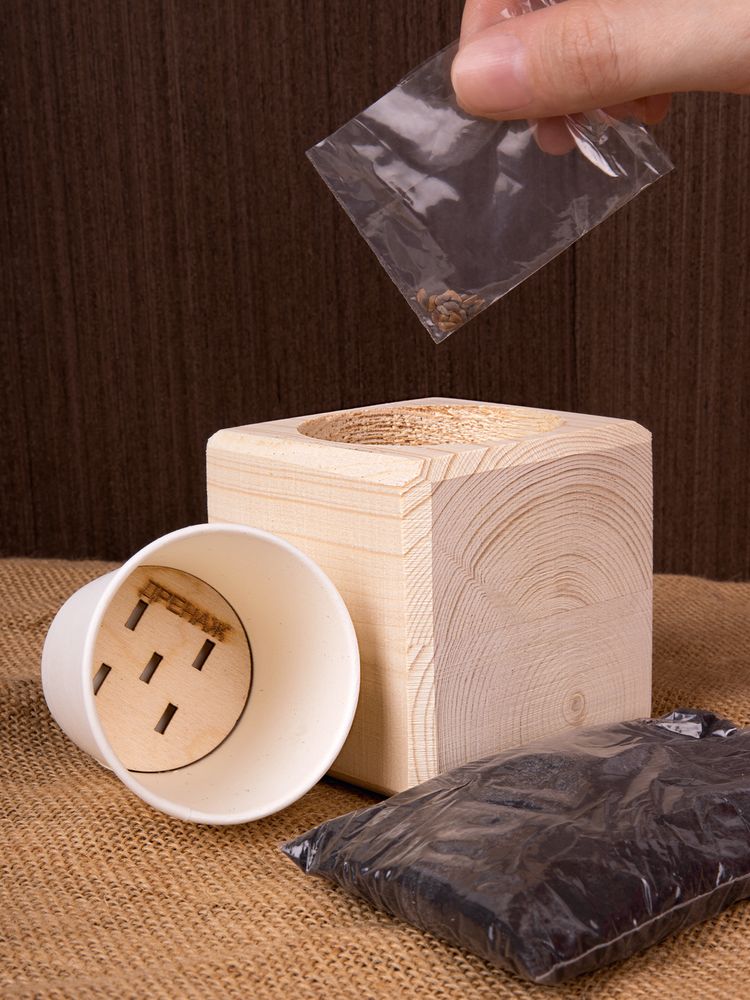 Набор для выращивания «Экокуб», ель - фото 5