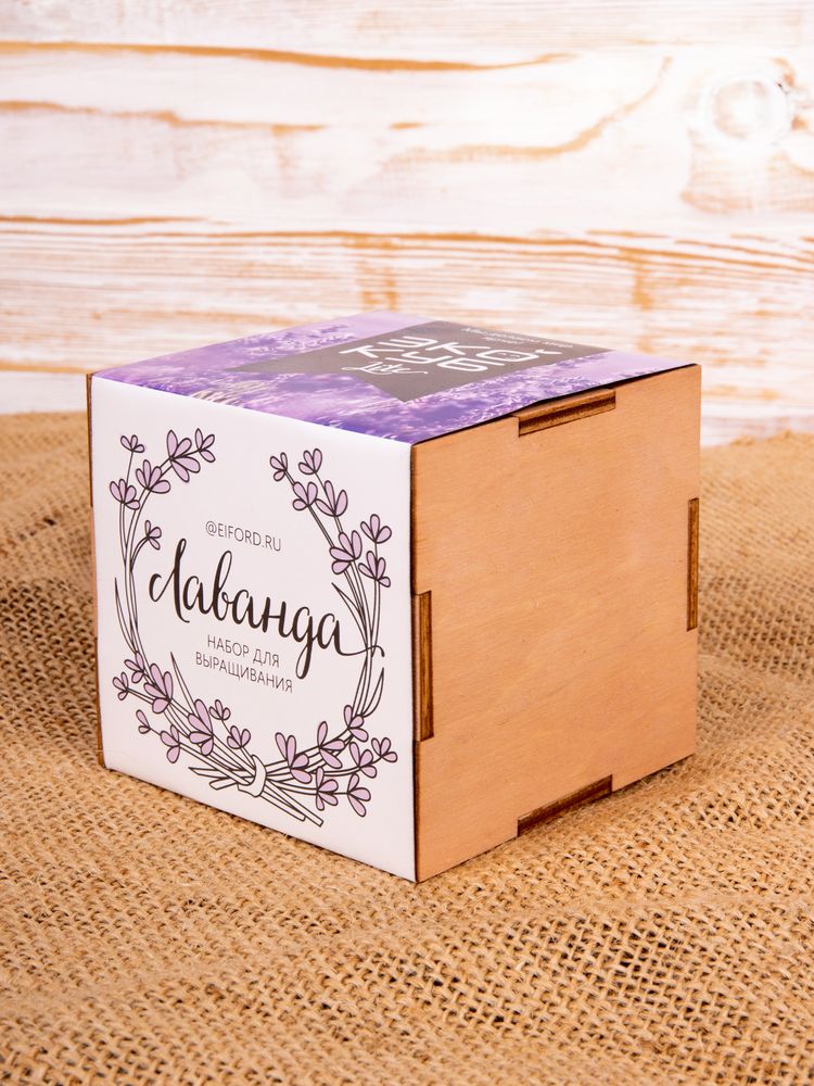 Набор для выращивания «Экокуб Lite», лаванда - фото 8