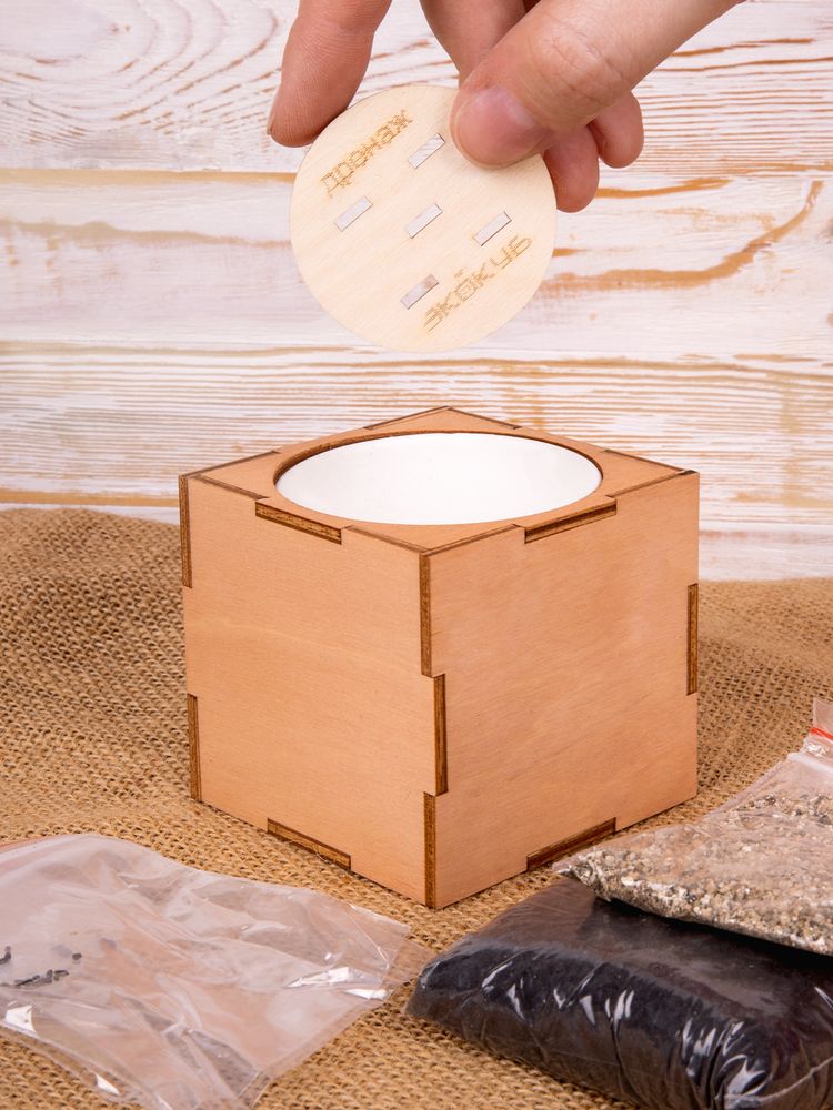 Набор для выращивания «Экокуб Lite», лаванда - фото 9