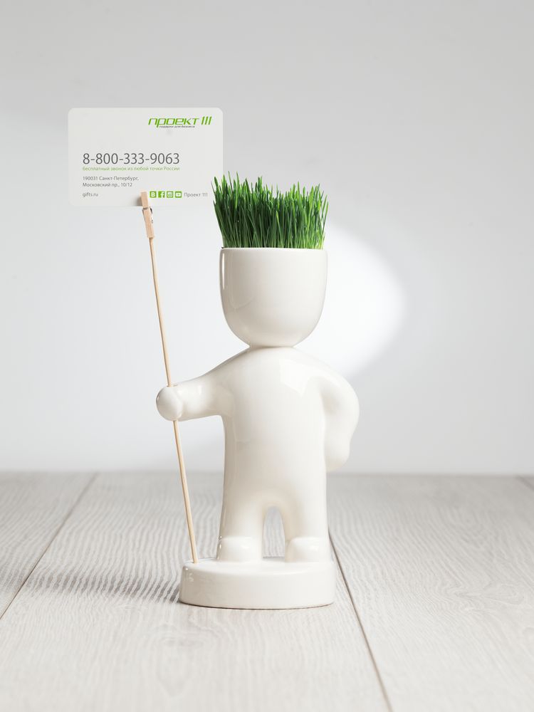 Набор для выращивания Funky Headman - фото 5