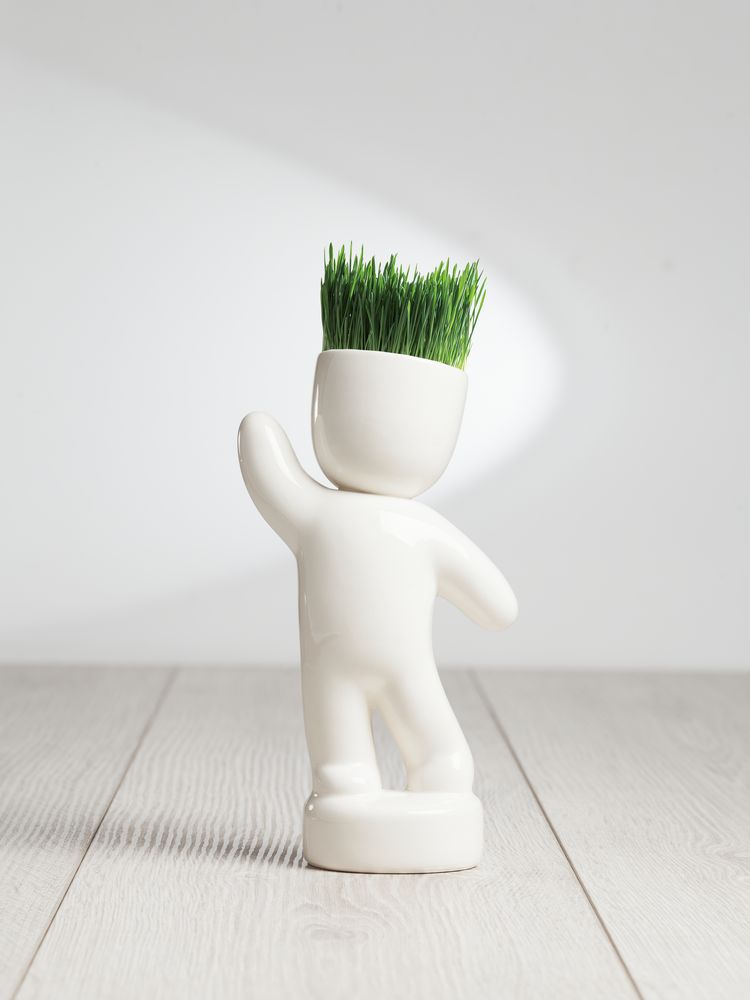 Набор для выращивания Funky Buddy - фото 5