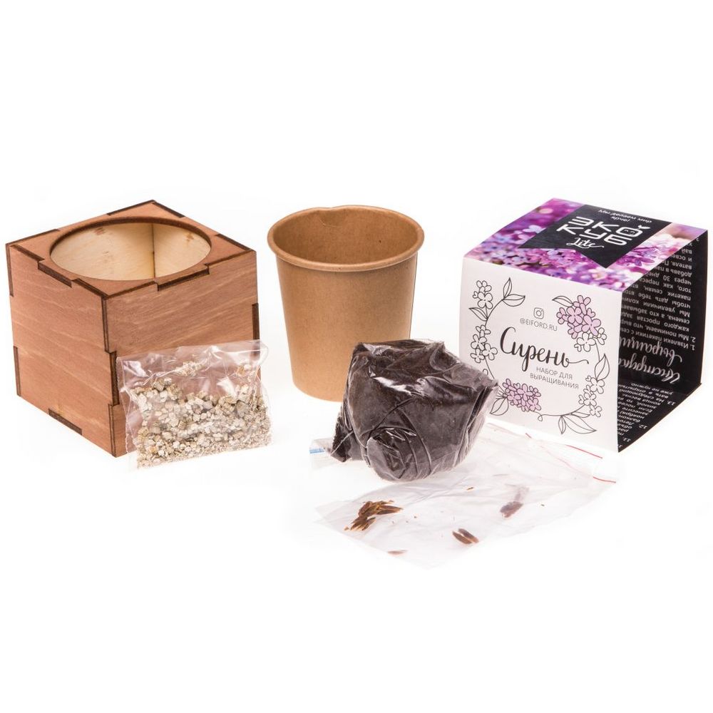 Набор для выращивания «Экокуб Lite», сирень - фото 5