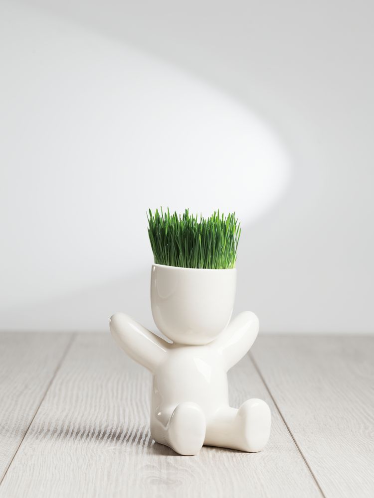 Набор для выращивания Funky Kid - фото 6