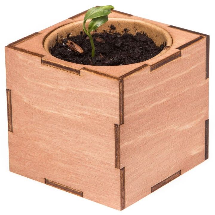 Набор для выращивания «Экокуб Lite», сирень - фото 6