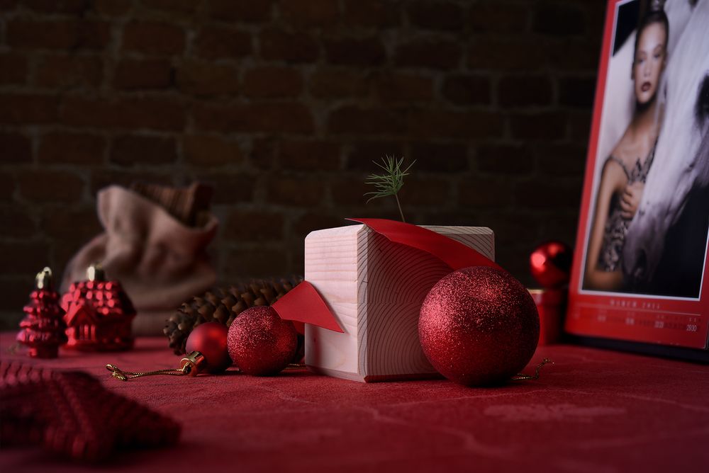 Набор для выращивания «Экокуб», ель - фото 4