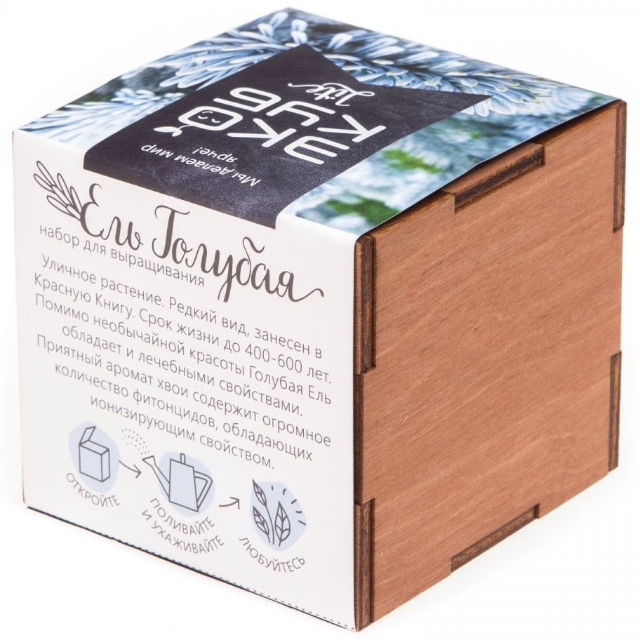 Набор для выращивания «Экокуб Lite», ель голубая - фото 5