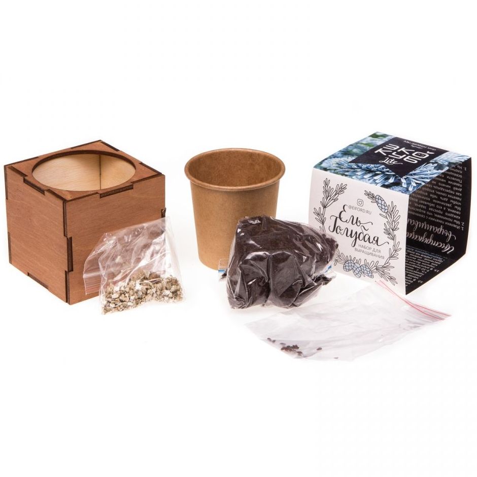 Набор для выращивания «Экокуб Lite», ель голубая - фото 6