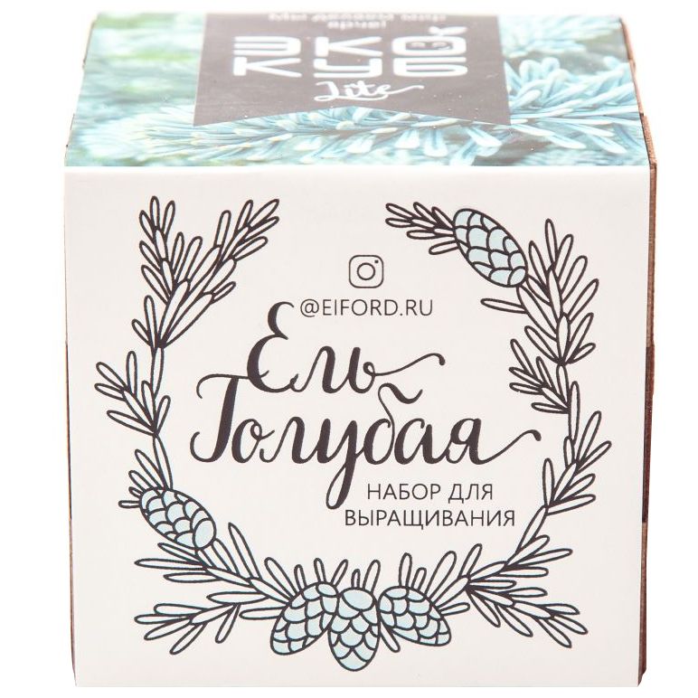 Набор для выращивания «Экокуб Lite», ель голубая - фото 2