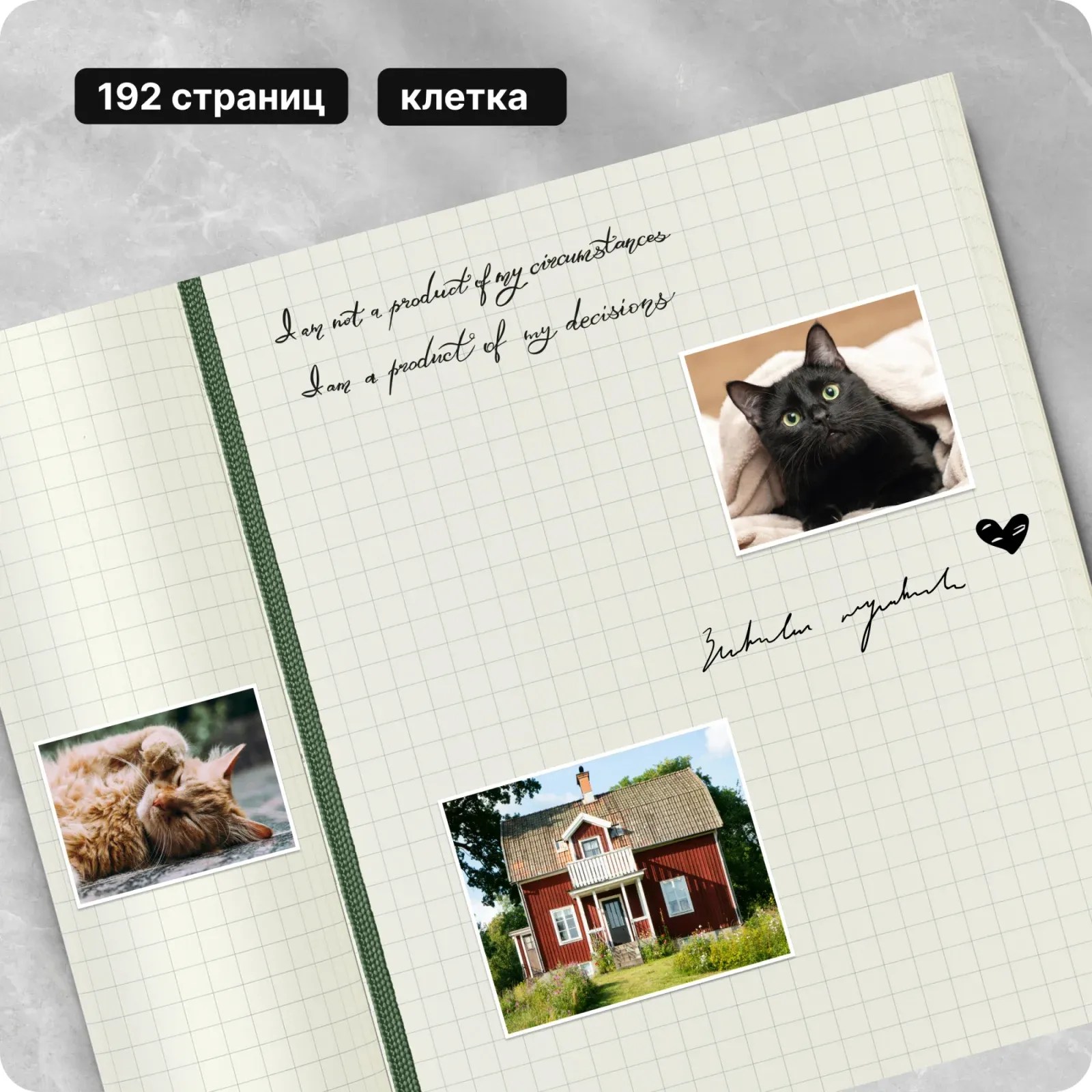 Блокнот Moleskine CLASSIC SOFT QP617K15 Large 130х210мм 192стр. клетка мягкая обложка зеленый - фото 8