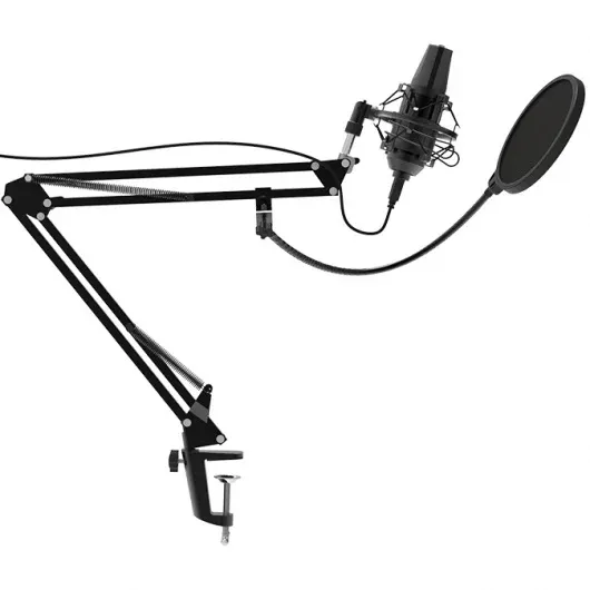 Микрофоны RITMIX RDM-180 черный - фото 4