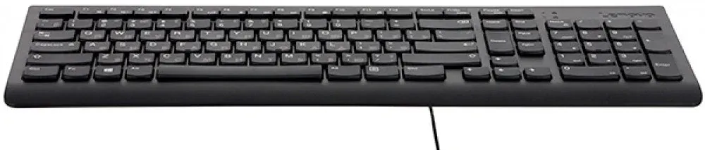 Клавиатура Lenovo 300 черный USB для ноутбука GX30M39684 кабель 1.8м - фото 4