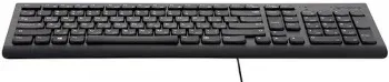 Клавиатура Lenovo 300 черный USB для ноутбука GX30M39684 кабель 1.8м - фото 8