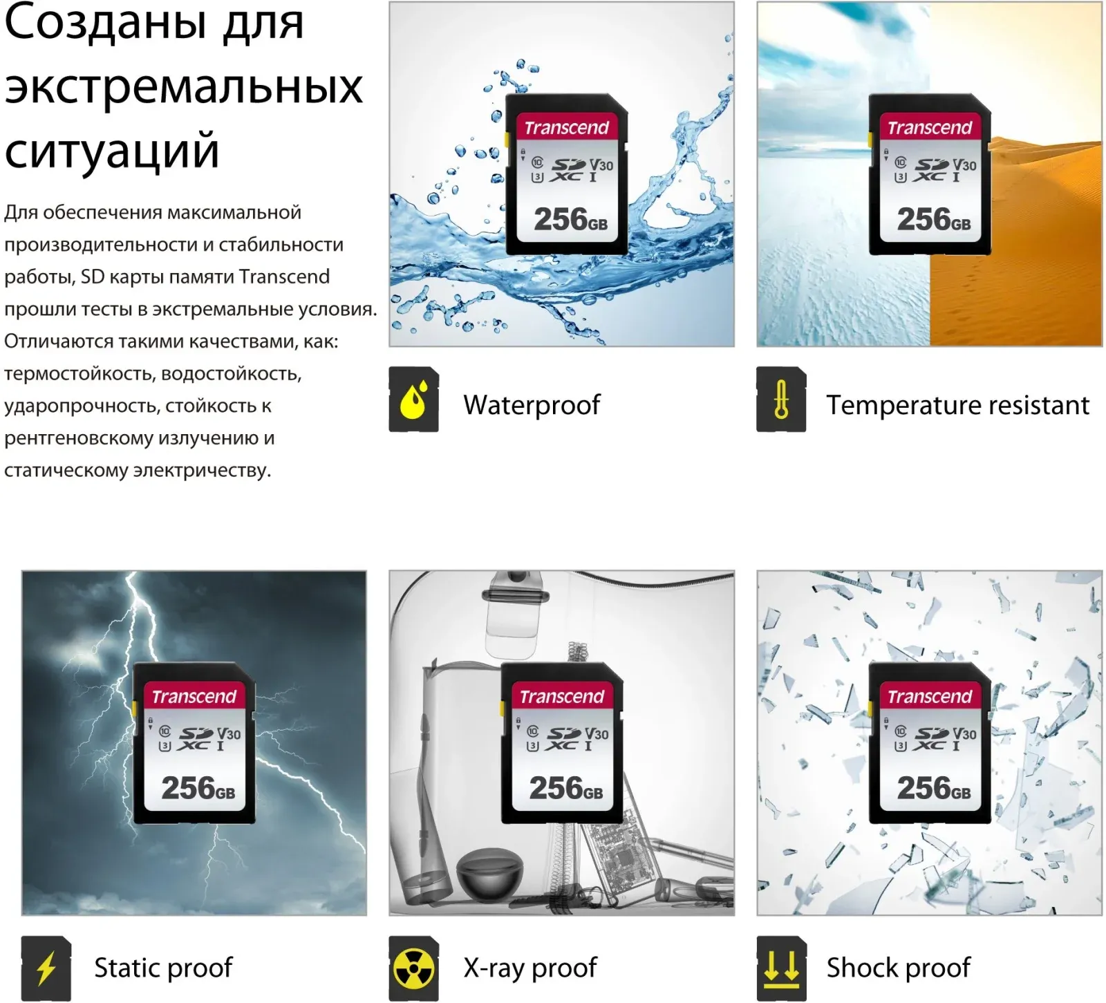 Флеш карта SDXC 256GB Transcend TS256GSDC300S w/o adapter - фото 5