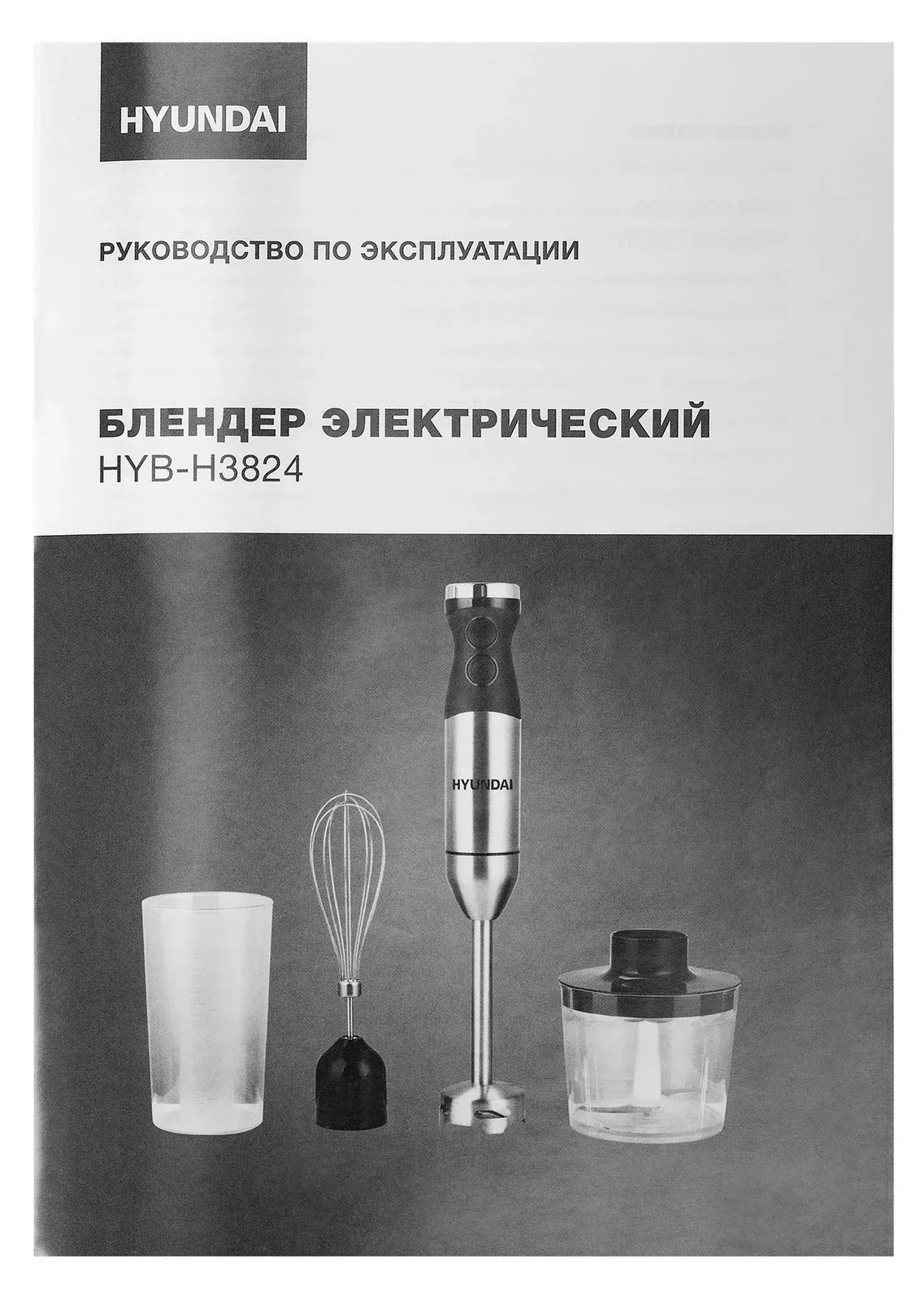 Блендеры HYUNDAI HYB-H3824 - фото 1