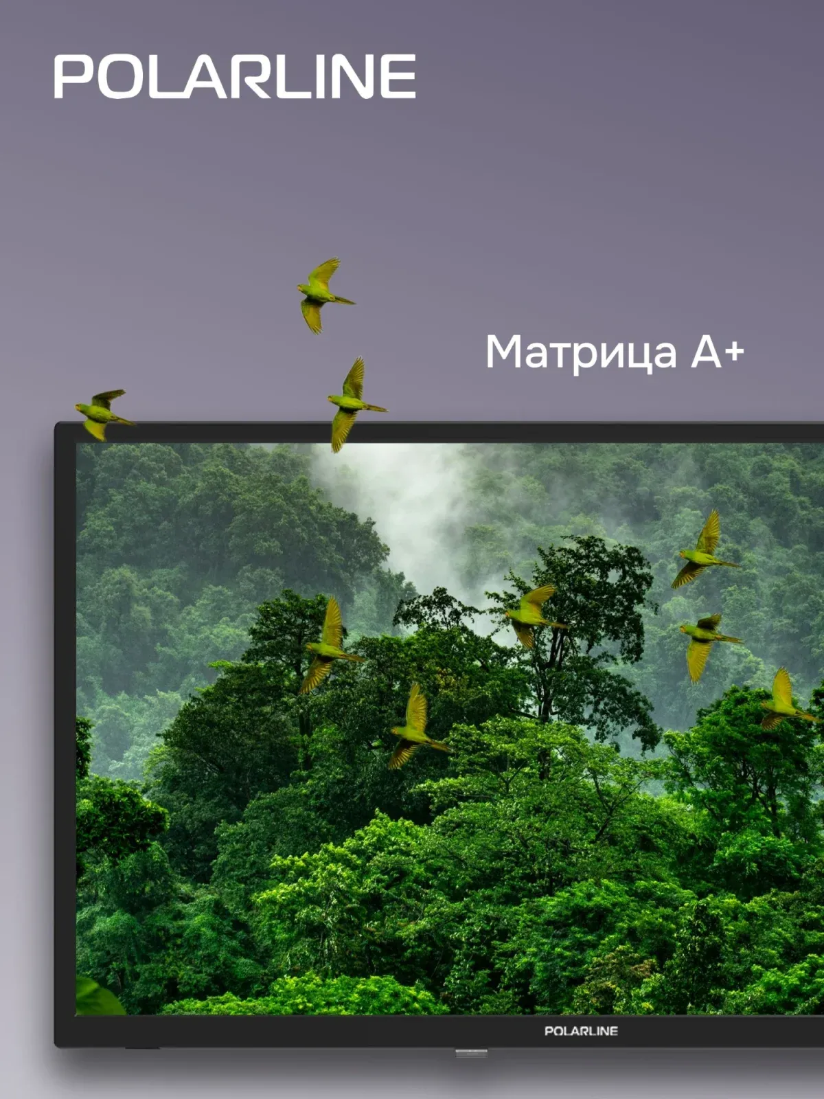 Телевизор LED PolarLine 24 24PL12TC черный HD 60Hz DVB-T DVB-T2 DVB-C DVB-S2 USB WiFi RUS - фото 5