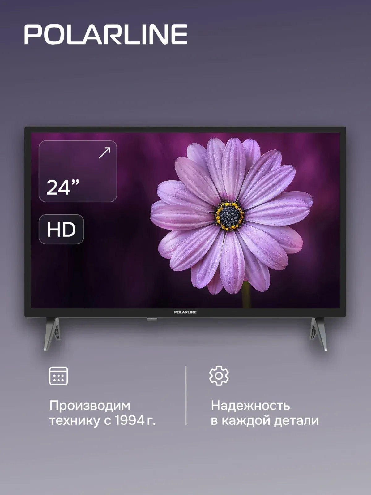 Телевизор LED PolarLine 24 24PL12TC черный HD 60Hz DVB-T DVB-T2 DVB-C DVB-S2 USB WiFi RUS - фото 6