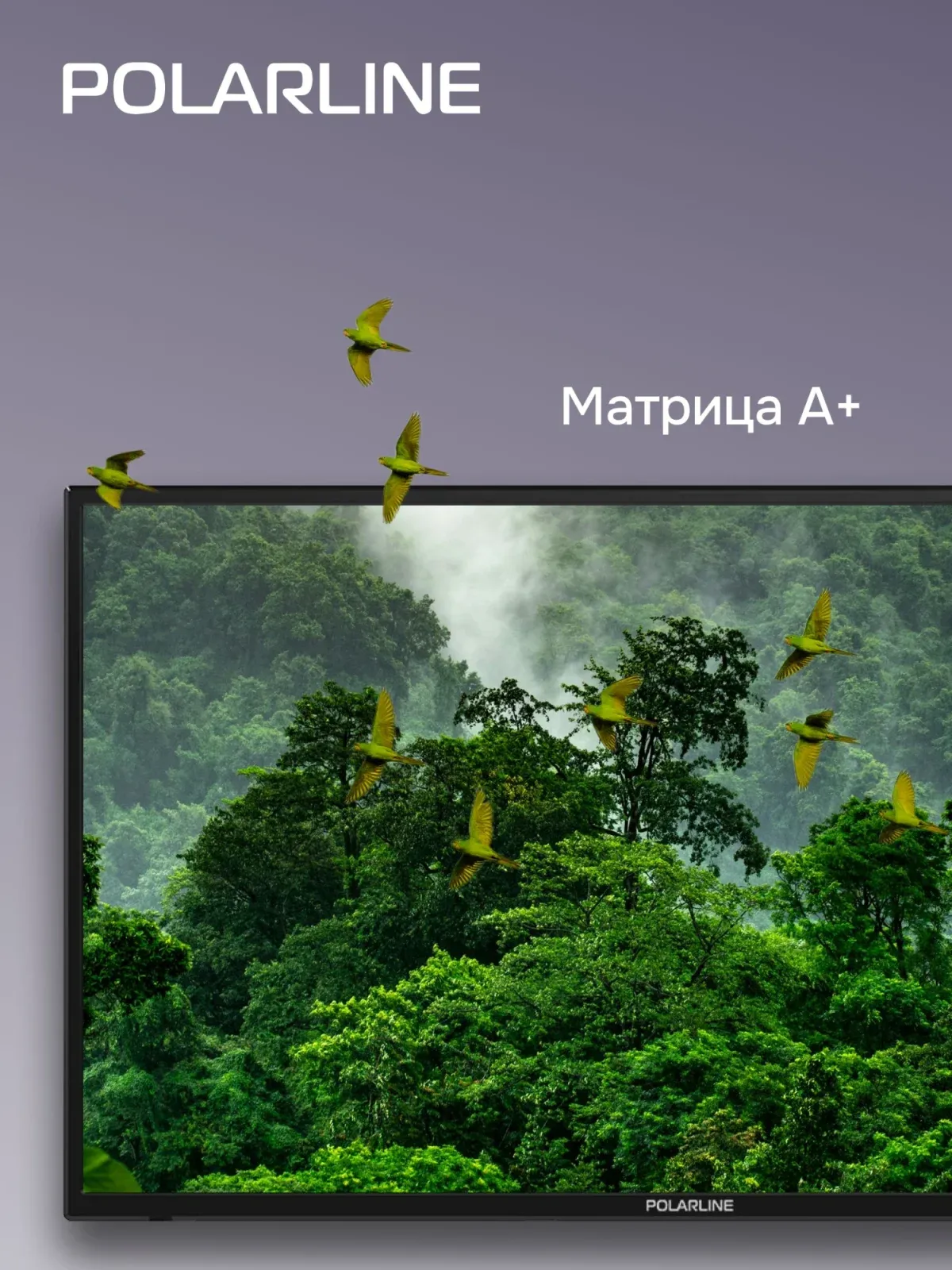 Телевизор LED PolarLine 32 32PL54TC черный FULL HD 60Hz DVB-T DVB-T2 DVB-C USB RUS - фото 6