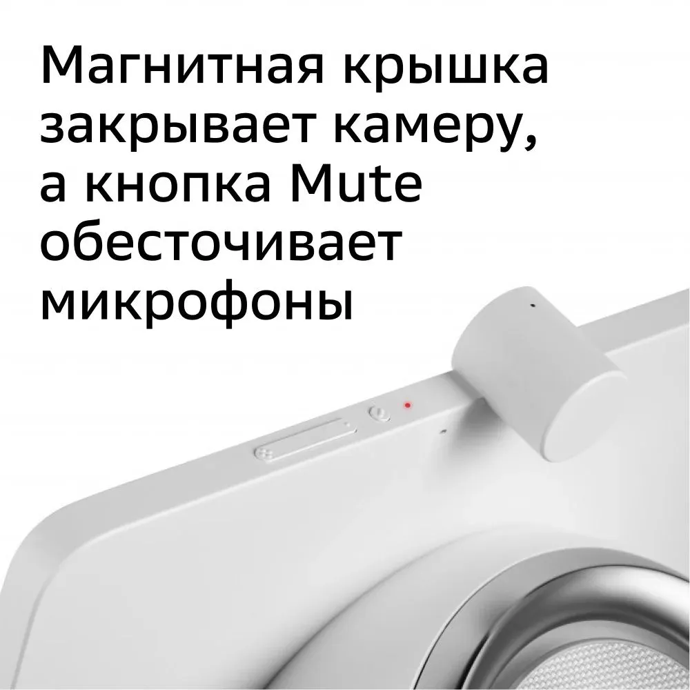Портативная акустика SBER SBERPORTAL - фото 1