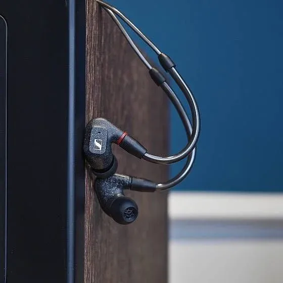 Наушники и гарнитуры SENNHEISER IE 300 черный - фото 1