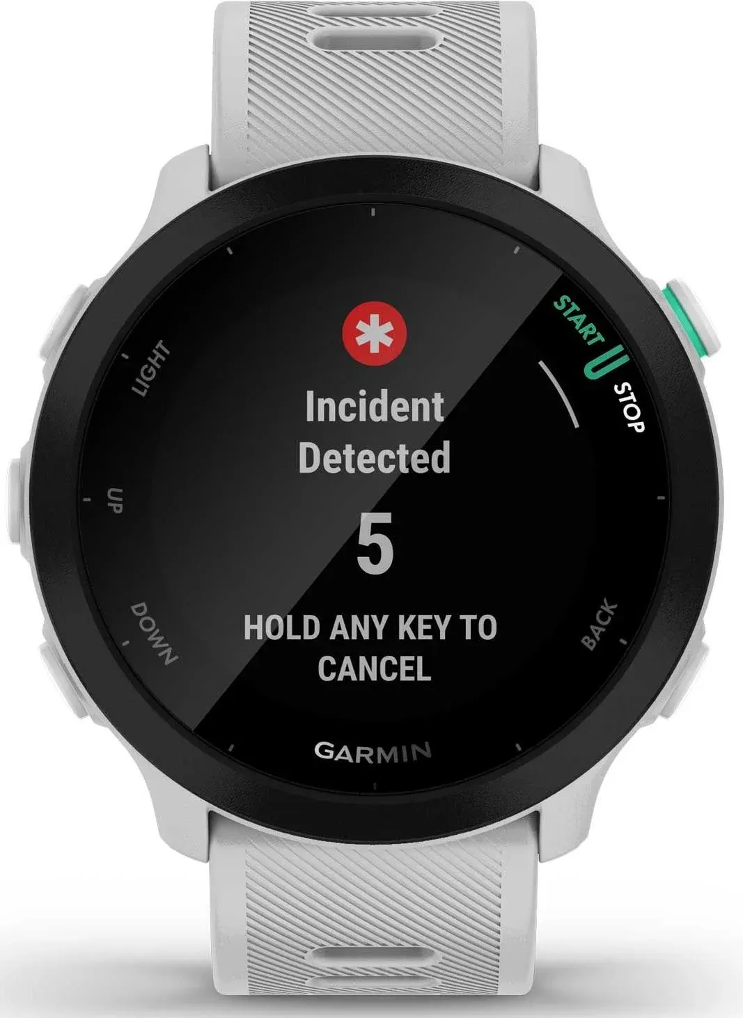 Смарт-часы Garmin Forerunner 55 42мм 1.04 LCD корп.белый рем.белый разм.брасл.:127-220мм 010-02562-11 - фото 3