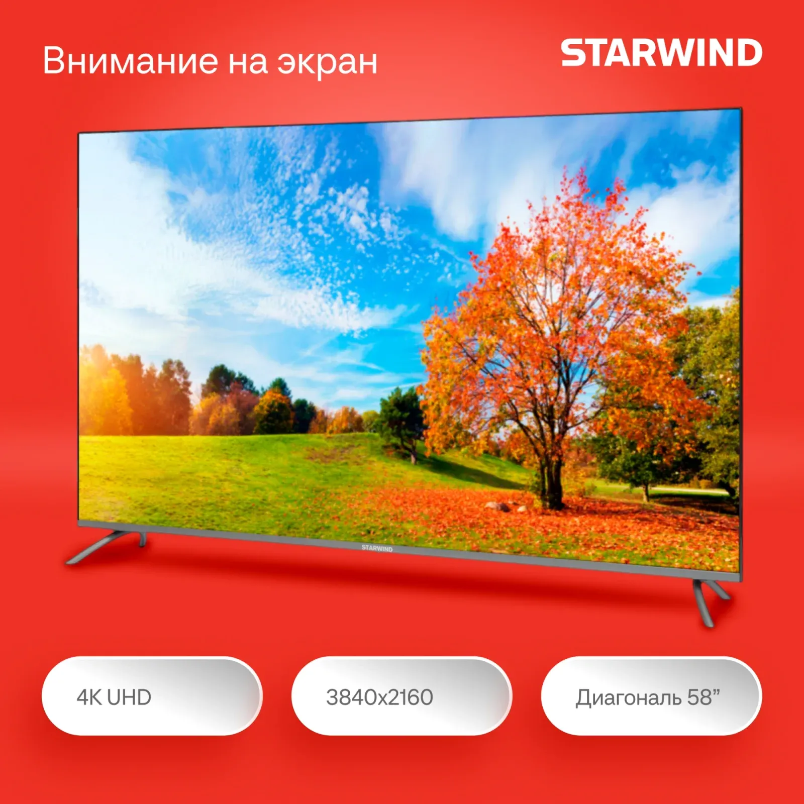 Телевизор LED Starwind 58 SW-LED58UG401 Яндекс.ТВ Frameless стальной 4K Ultra HD 60Hz DVB-T DVB-T2 DVB-C DVB-S DVB-S2 USB WiFi Smart TV - фото 8