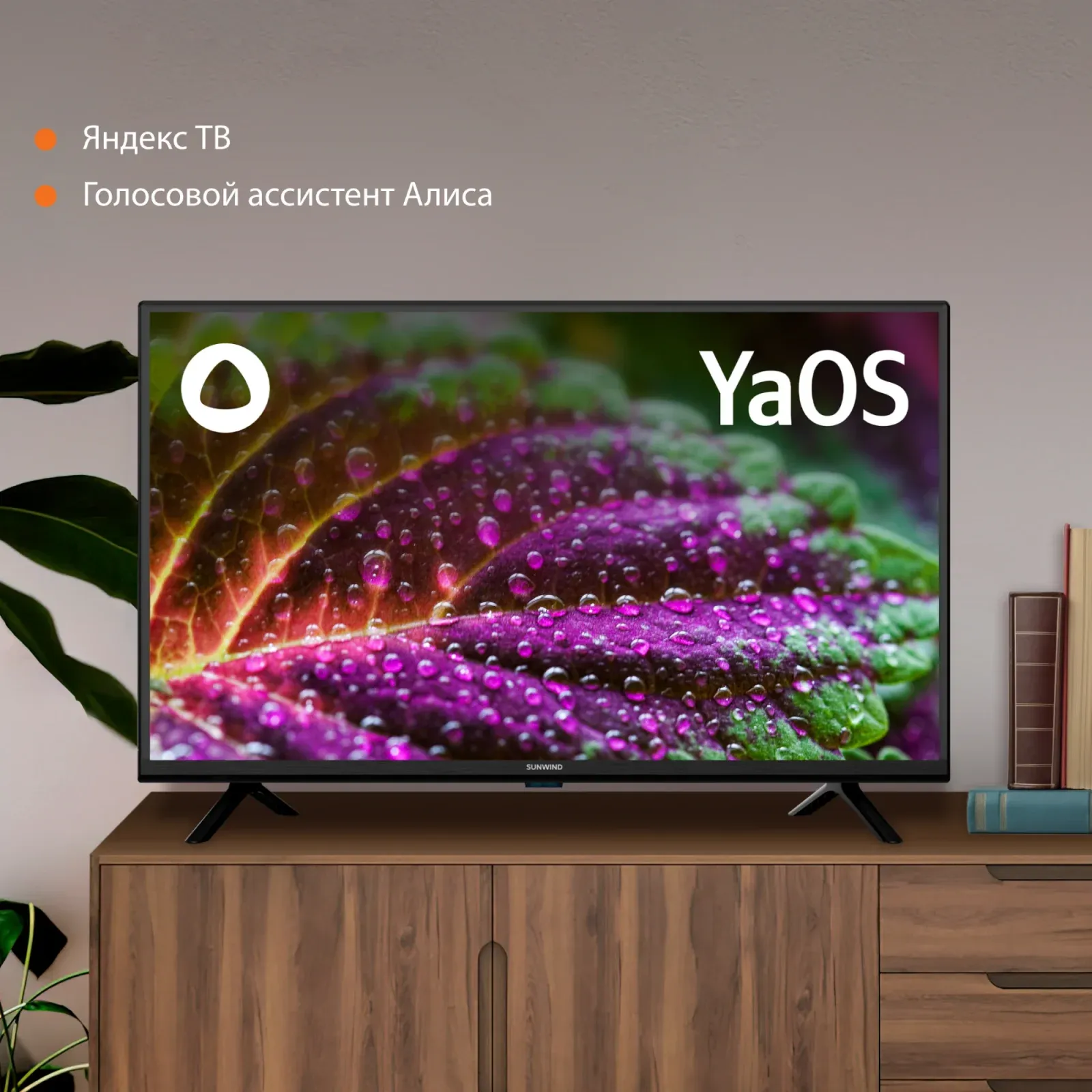 Телевизор LED SunWind 32 SUN-LED32XS300 Яндекс.ТВ черный HD 60Hz DVB-T DVB-T2 DVB-C DVB-S DVB-S2 USB Smart TV - фото 4