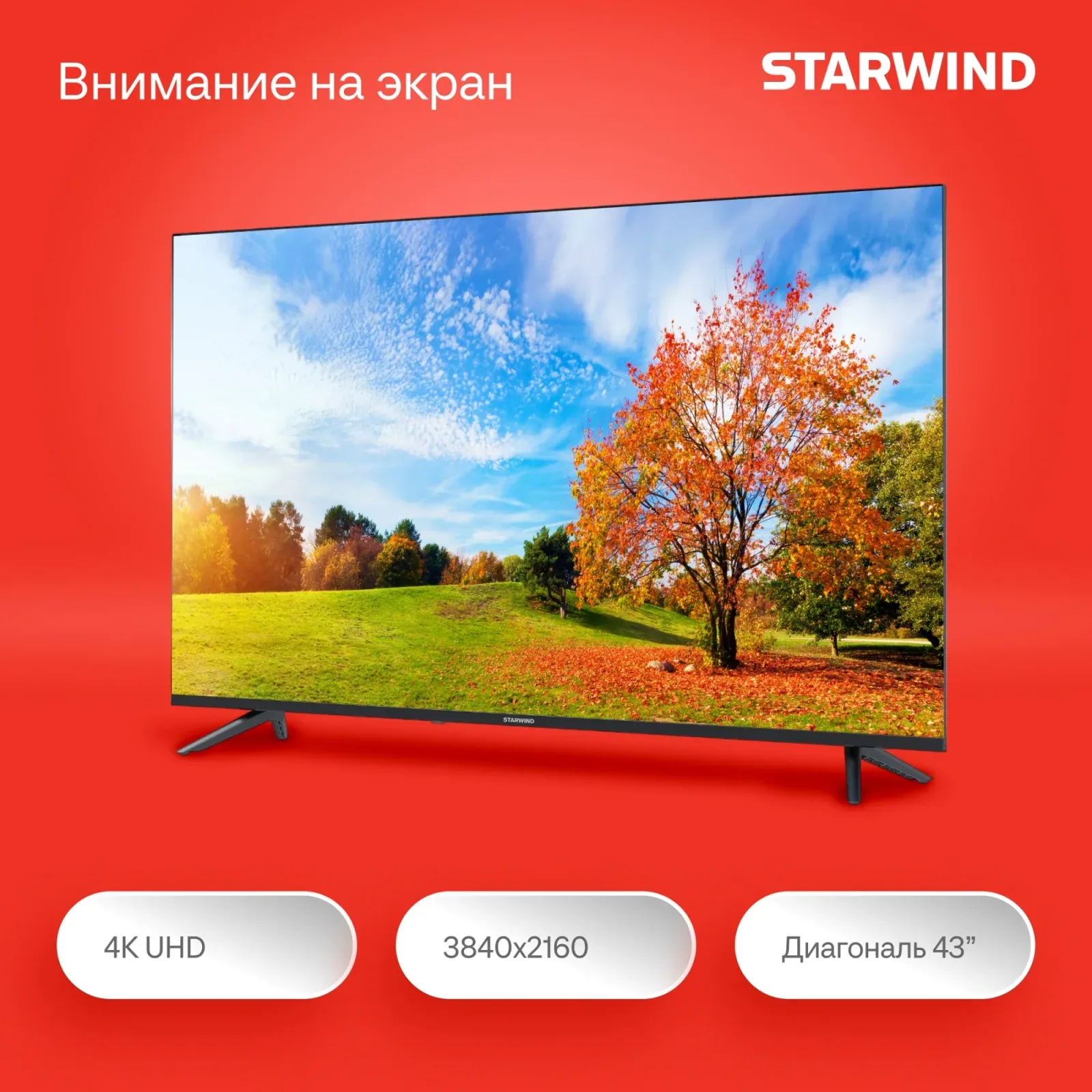 Телевизор LED Starwind 43 SW-LED43UG403 Яндекс.ТВ Frameless черный 4K Ultra HD 60Hz DVB-T DVB-T2 DVB-C DVB-S DVB-S2 USB WiFi Smart TV - фото 8