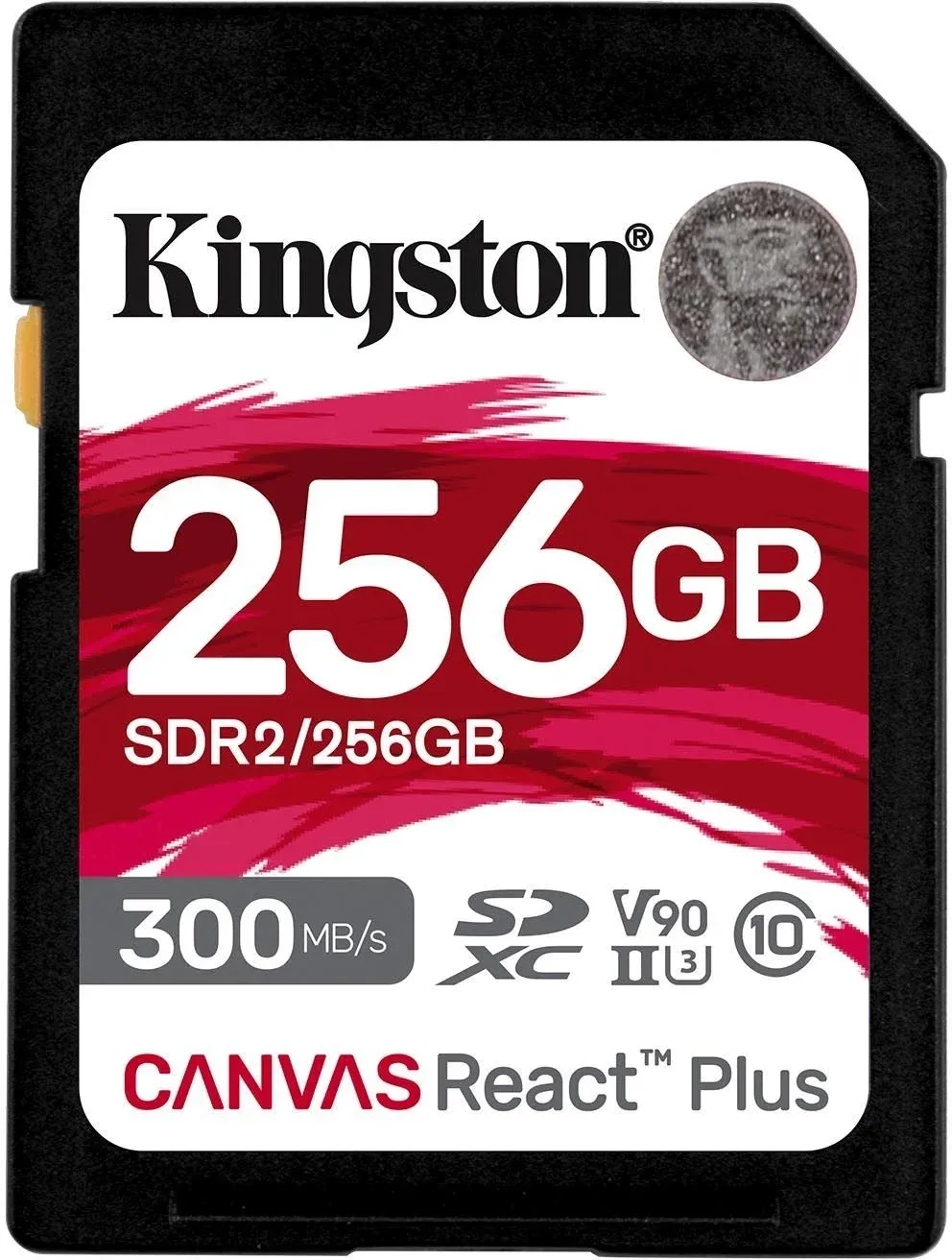 Flash Card KINGSTON SDR2/256GB - фото 1