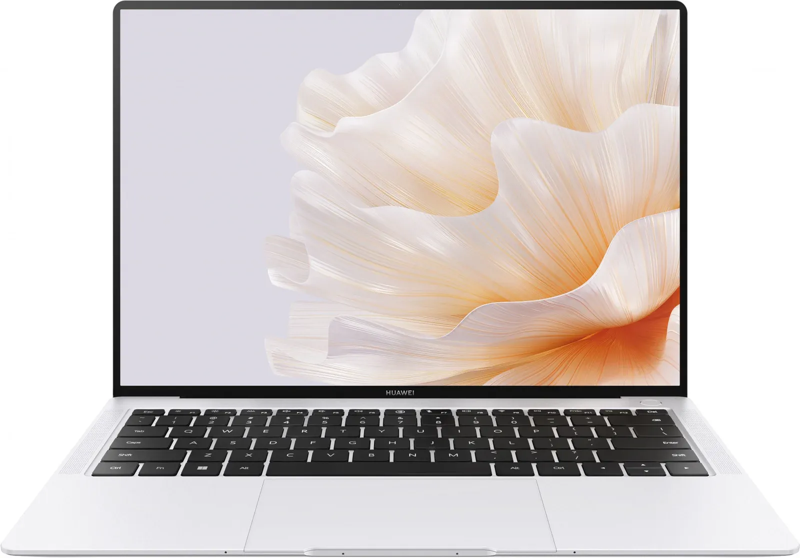 Ноутбуки HUAWEI MORGANG-W7611TM - фото 1