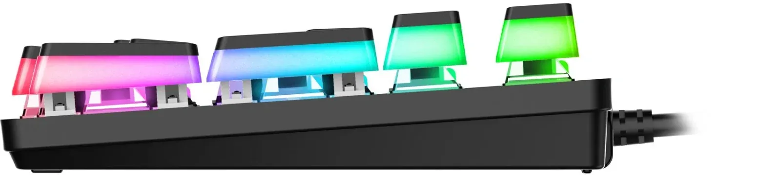 Клавиатура Acer OKW303 механическая черный/серый USB for gamer LED ZL.KBDCC.01D кабель 1.8м - фото 3