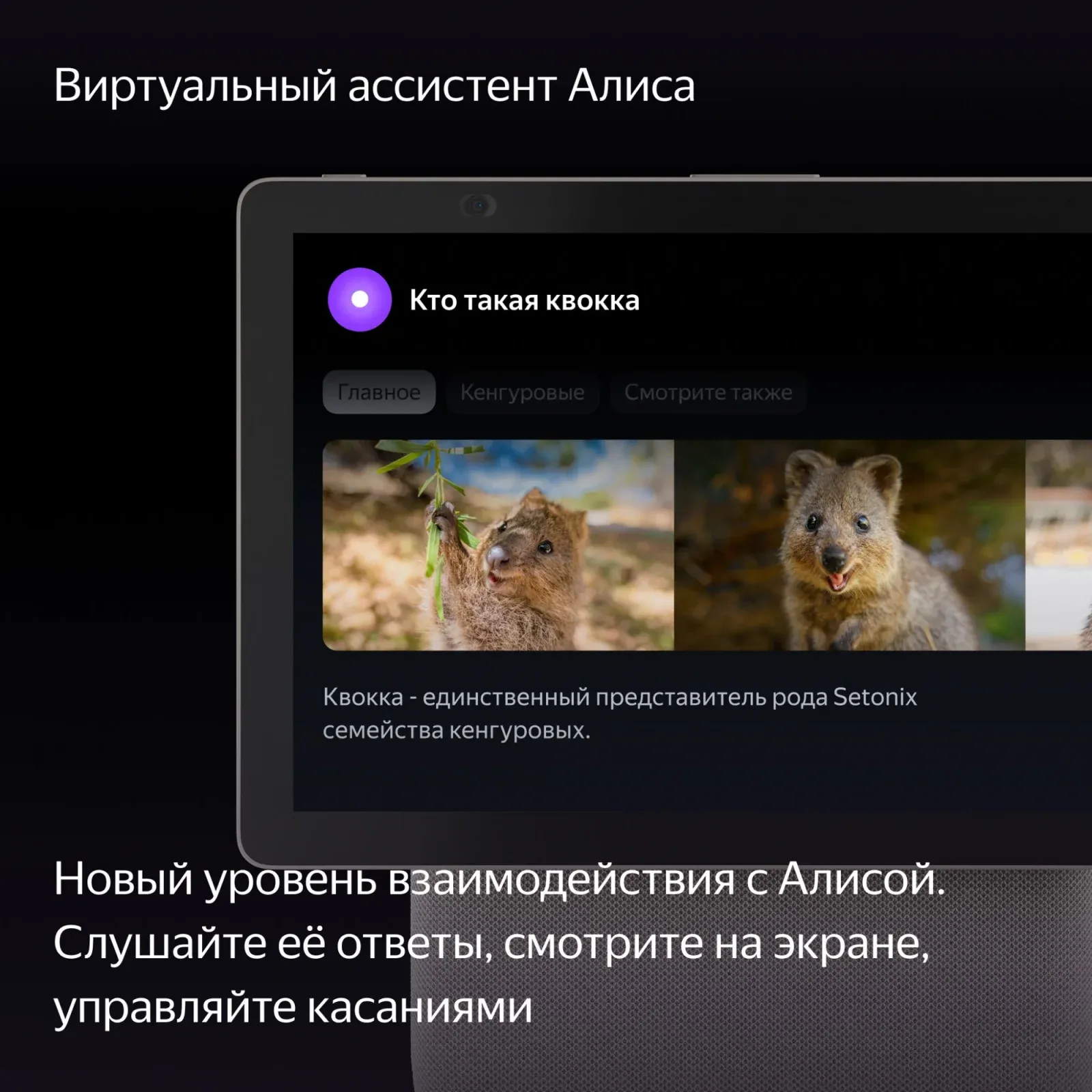 Умная колонка Yandex Станция Дуо Макс Zigbee Алиса бежевый 60W 1.0 BT/Wi-Fi 10м YNDX-00055BIE - фото 6