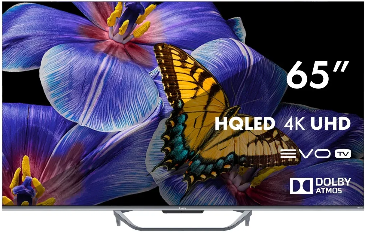 Телевизоры HAIER DH1VW9D04RU - фото 1