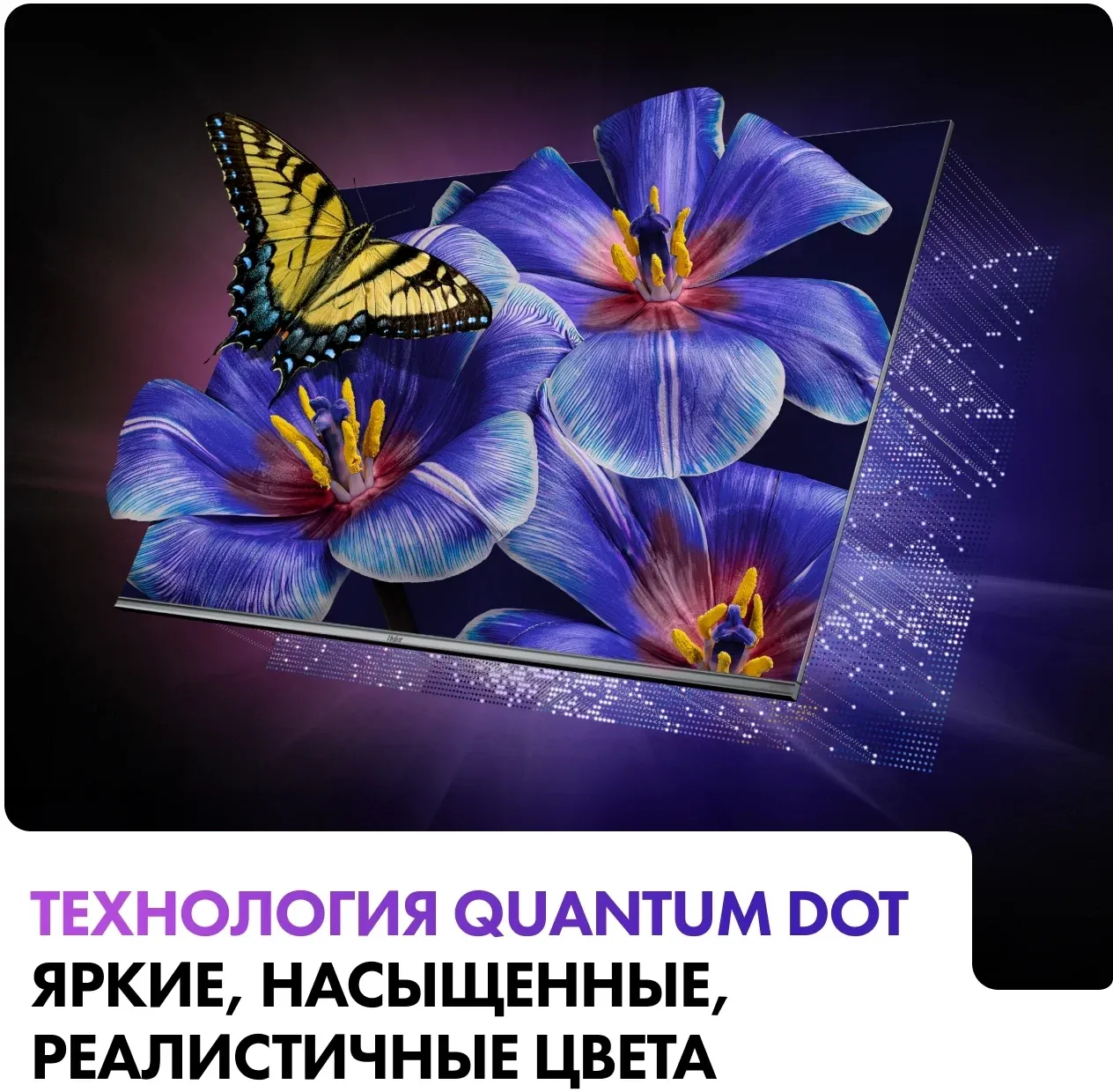 Телевизор QLED Haier 65 DH1VW9D04RU S4 Frameless серый 4K Ultra HD 60Hz MEMC DVB-T2 DVB-C DVB-S2 USB WiFi Smart TV - фото 5