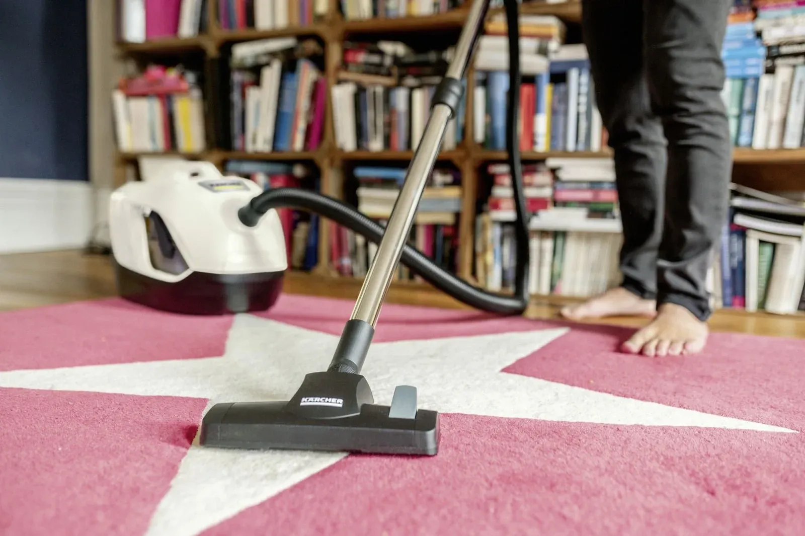 Пылесосы KARCHER DS 6 Plus белый - фото 2