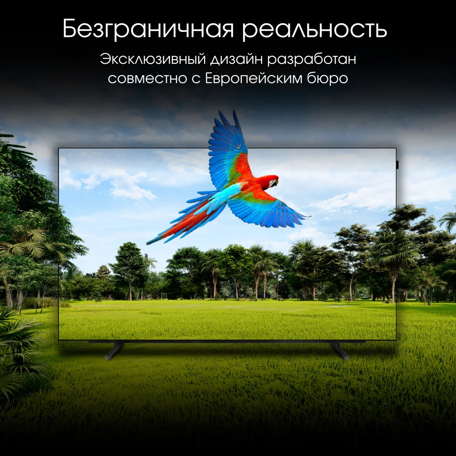 Телевизор OLED Digma Pro 65 OLED 65M Google TV Frameless черный/серебристый 4K Ultra HD 120Hz DVB-T DVB-T2 DVB-C DVB-S DVB-S2 USB WiFi Smart TV - фото 6