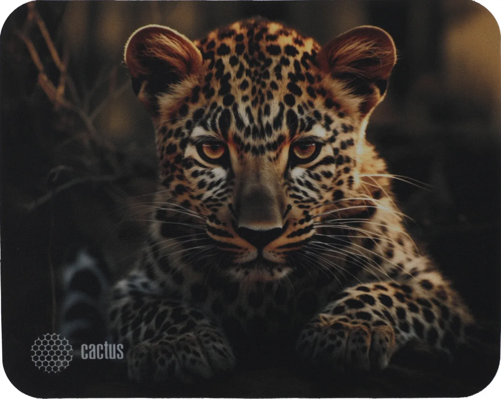 Коврик для мыши Cactus Leopard рисунок 250x200x3мм CS-MP-D06S - фото 1