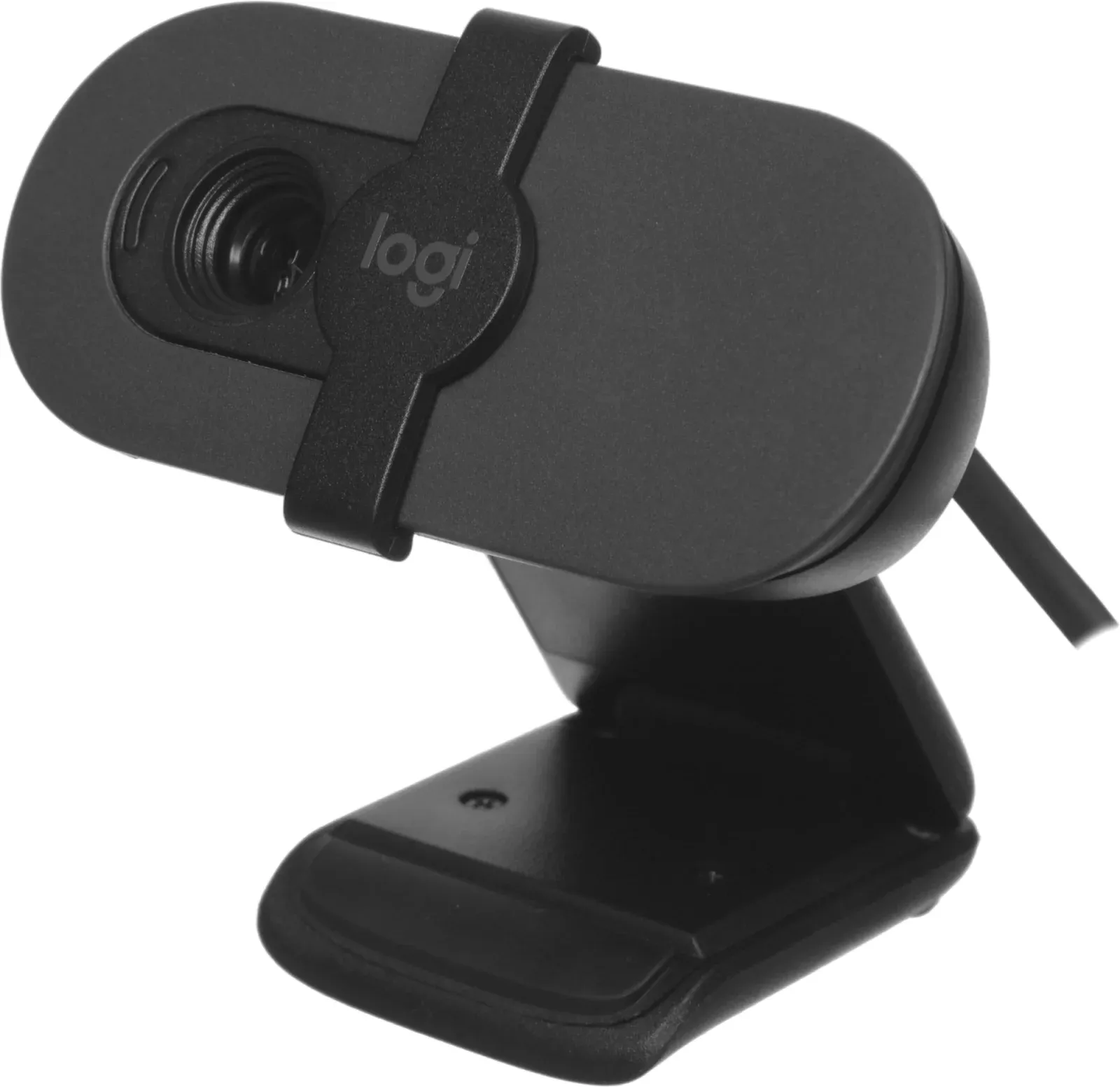 Камеры Web LOGITECH BRIO 100 - фото 1