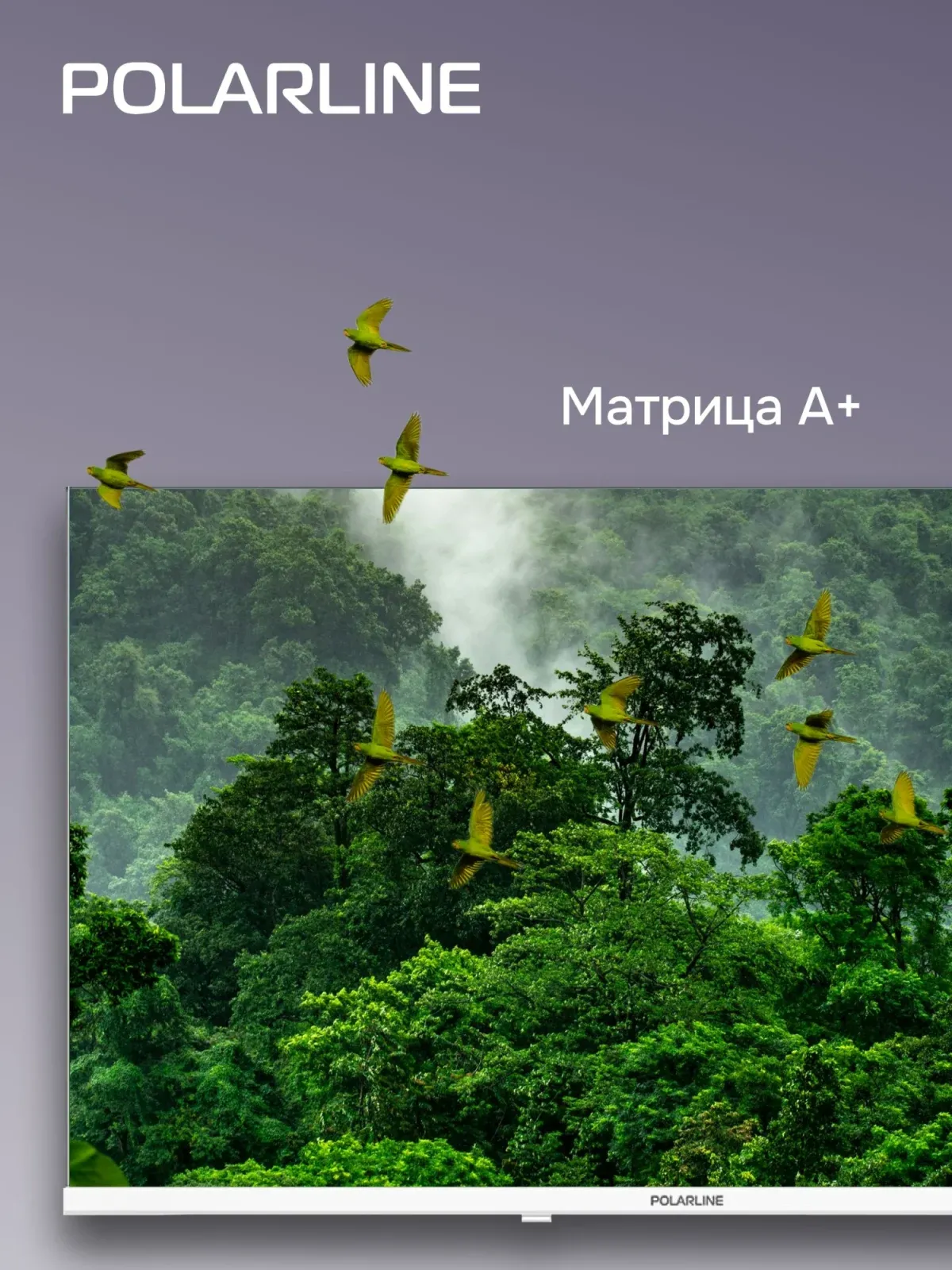 Телевизор LED PolarLine 24 24PL52TC белый HD 60Hz DVB-T DVB-T2 DVB-C DVB-S2 USB RUS - фото 6
