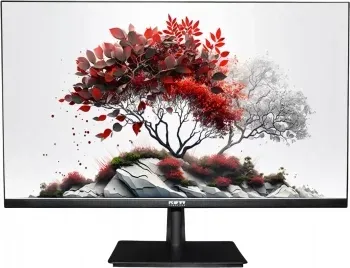 Монитор RDW Computers 27 RDW2701K черный IPS 5ms 16:9 HDMI M/M HAS Piv 1000:1 300cd 178гр/178гр 1920x1080 100Hz VGA DP FHD RUS - фото 4