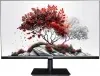Монитор RDW Computers 27 RDW2701K черный IPS 5ms 16:9 HDMI M/M HAS Piv 1000:1 300cd 178гр/178гр 1920x1080 100Hz VGA DP FHD RUS - фото 7
