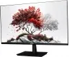Монитор RDW Computers 27 RDW2701K черный IPS 5ms 16:9 HDMI M/M HAS Piv 1000:1 300cd 178гр/178гр 1920x1080 100Hz VGA DP FHD RUS - фото 8