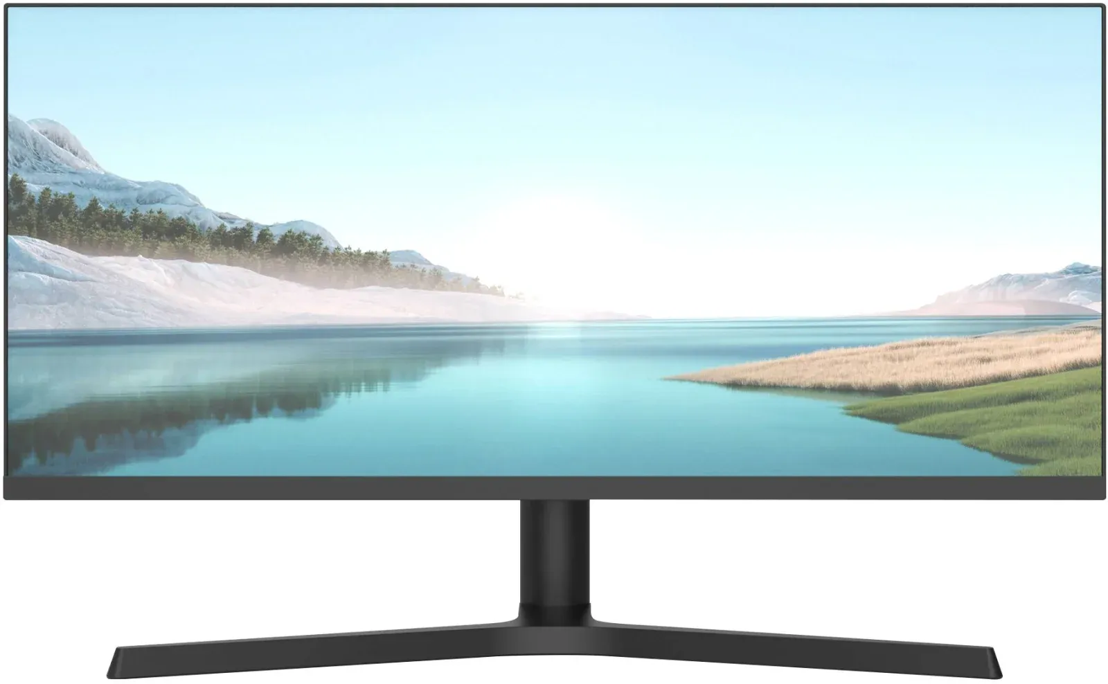 Мониторы ЖК NPC MZ300L - фото 1