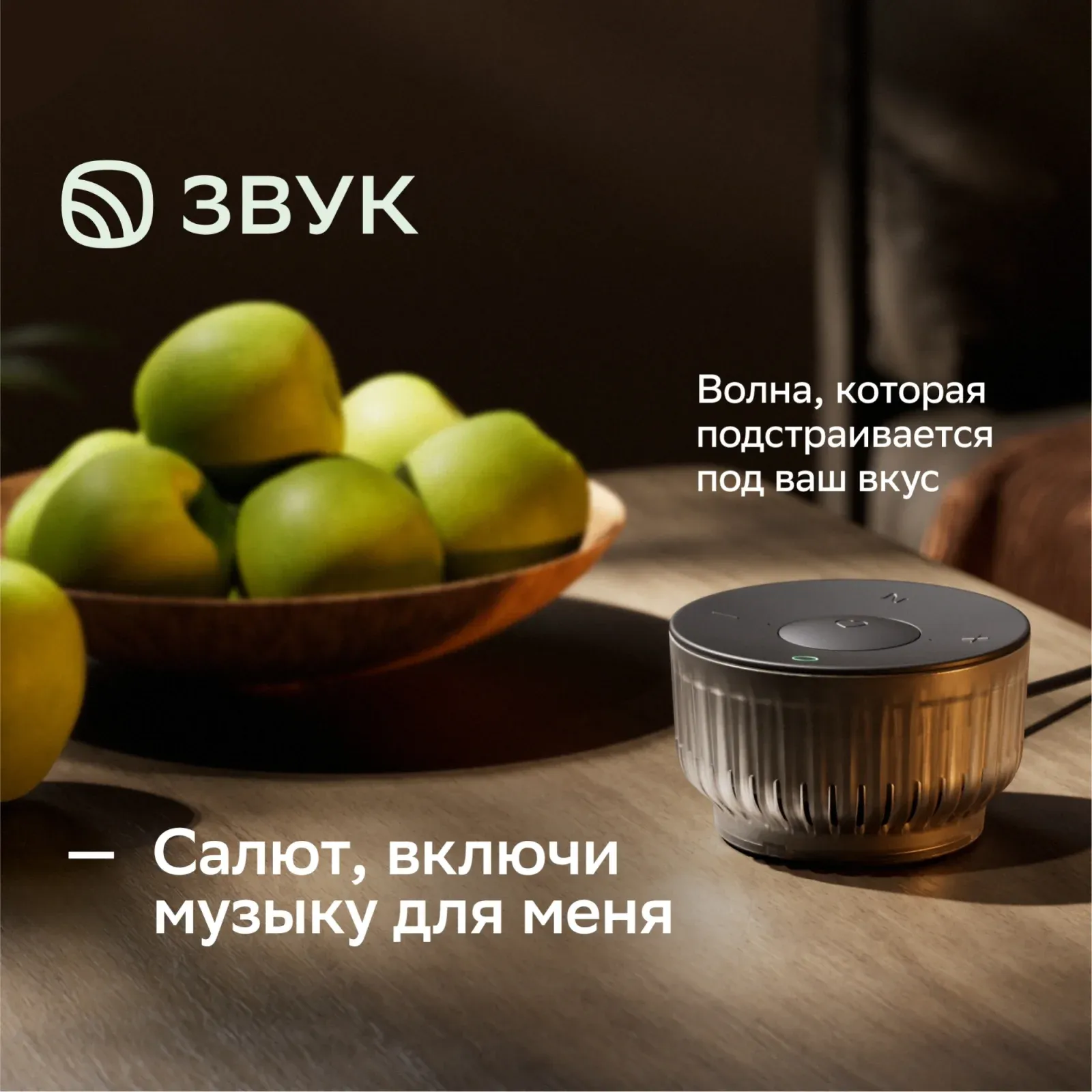 Портативная акустика SBER SBDV-00250A черный - фото 2