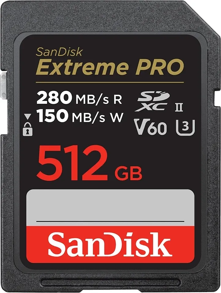 Flash Card SANDISK SDSDXEP-512G-GN4IN - фото 1