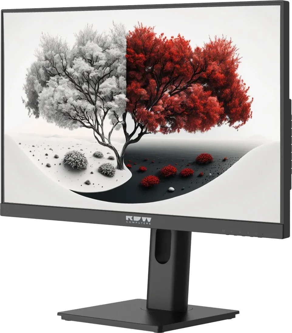 Мониторы ЖК RDW COMPUTERS RDW2401K - фото 3