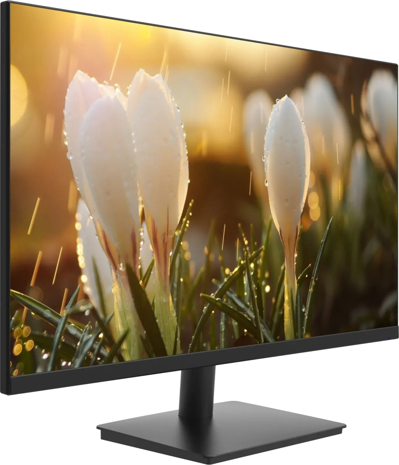 Монитор Dahua 23.8 DHI-LM24-A201H черный IPS LED 5ms 16:9 HDMI M/M матовая 1000:1 250cd 178гр/178гр 1920x1080 100Hz VGA DP FHD 3.1кг - фото 2