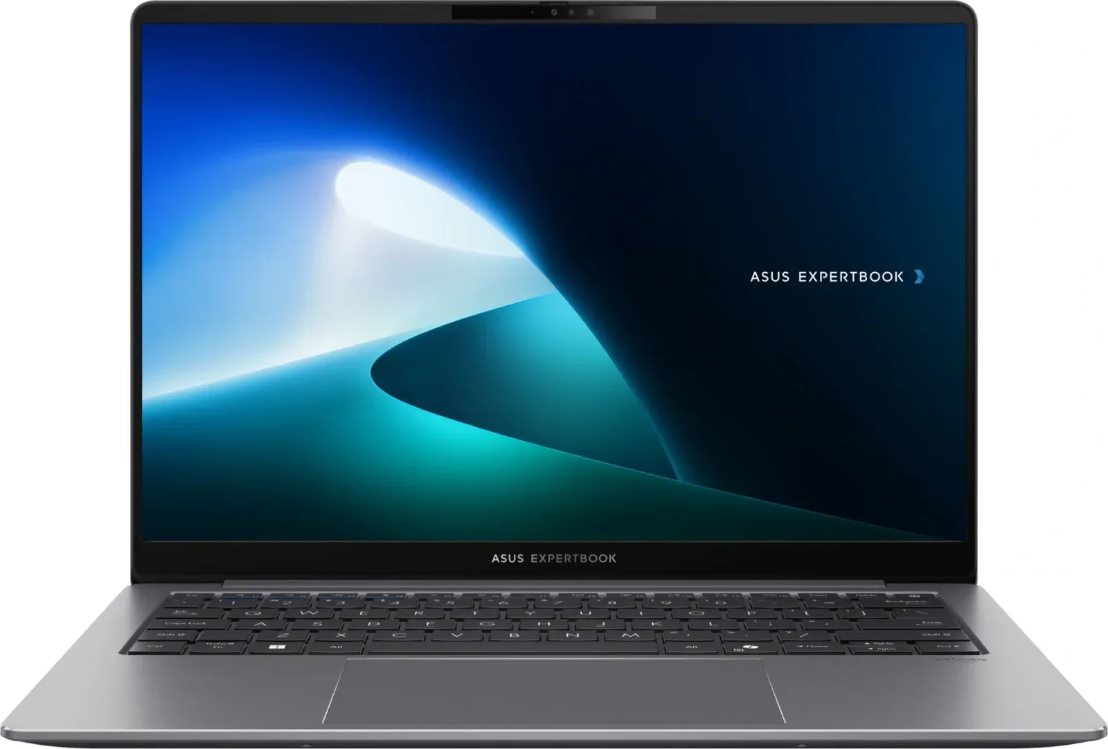 Ноутбуки ASUS P5405CSA-NZ0298 - фото 1