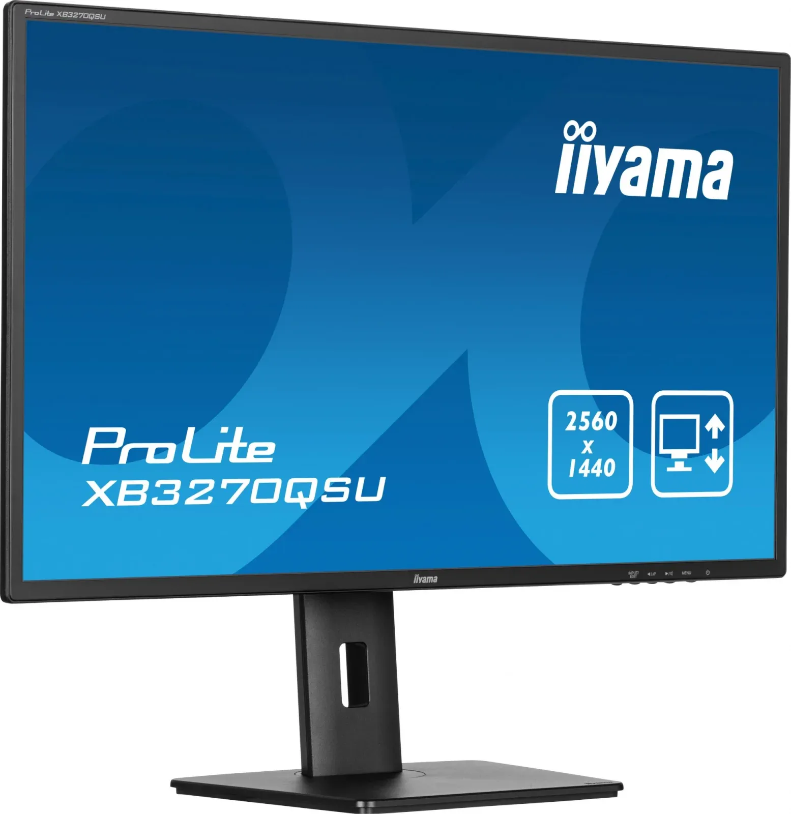 Монитор Iiyama 31.5 ProLite XB3270QSU-B1 черный IPS 16:9 HDMI M/M матовая HAS Piv 250cd 178гр/178гр 2560x1440 100Hz DP 2K USB 8.6кг - фото 4